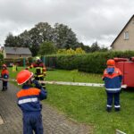 NeuWiPuKiTau