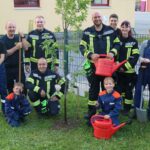 Baum-Challenge